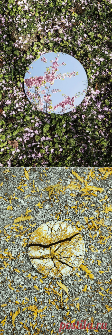 Фотоприём с зеркалом (подборка) / Фото (идеи съемок) / ВТОРАЯ УЛИЦА