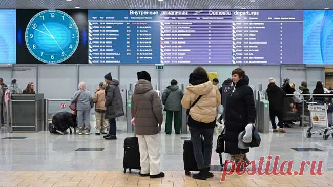 Правительство не поддержало законопроект о нормах для ручной клади