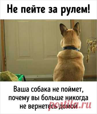 20 доказательств того, что качественная социальная реклама должна вызывать шок