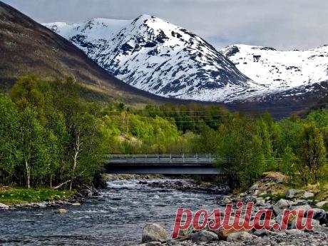 Нет Ничего Более Изобретательного, Чем Природа