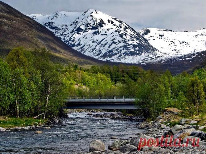 Нет Ничего Более Изобретательного, Чем Природа