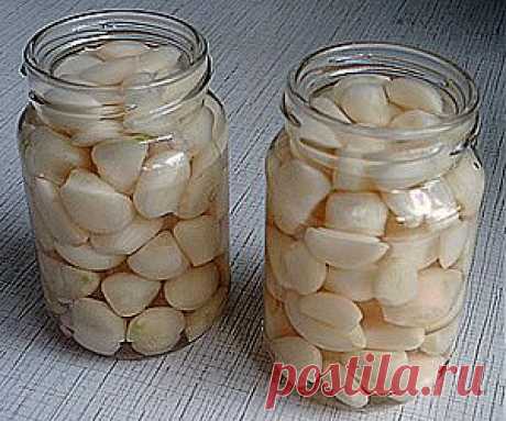 Малосольный чеснок | ЖЕНСКИЙ МИР