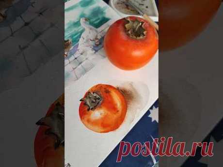 Акварельный #скетч хурма. #акварель #какрисоватьакварелью