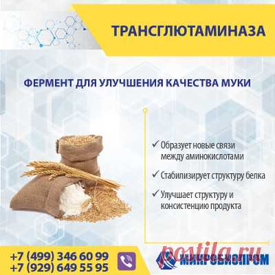 Трансглютаминаза (ТГ) - фермент, органический катализатор химических реакций, связывает белковые молекулы, образуя новые связи между аминокислотами, тем самым стабилизируя структуру белка. Фермент трансглютаминаза используется для укрепления клейковины, что значительно улучшает качество и текстурные свойства хлебобулочных изделий и кондитерской выпечки. Трансглютаминаза оказывает положительное влияние на стабильность теста, задерживает углекислый газ и ароматические вещества.