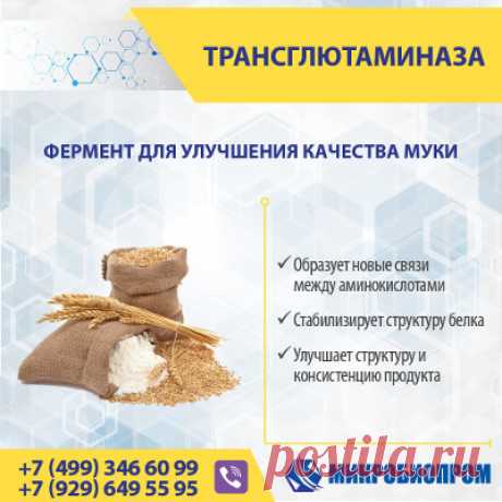 Трансглютаминаза (ТГ) - фермент, органический катализатор химических реакций, связывает белковые молекулы, образуя новые связи между аминокислотами, тем самым стабилизируя структуру белка. Фермент трансглютаминаза используется для укрепления клейковины, что значительно улучшает качество и текстурные свойства хлебобулочных изделий и кондитерской выпечки. Трансглютаминаза оказывает положительное влияние на стабильность теста, задерживает углекислый газ и ароматические вещества.