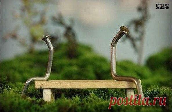 (33) Одноклассники