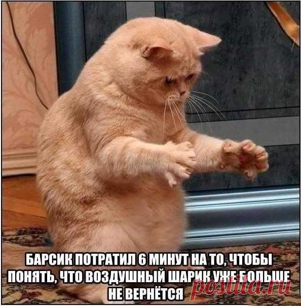 Корпорация Юмора ツ