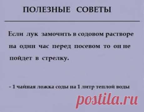 Полезные советы...