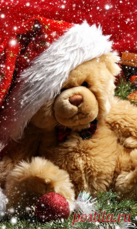 Мишка косолапый / cute bear – Google+