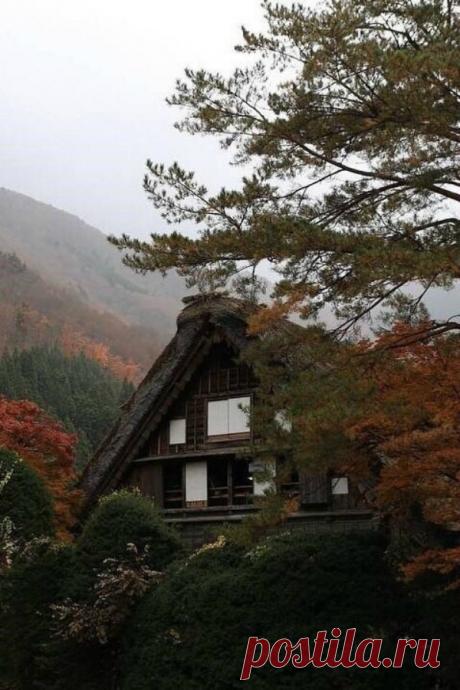 ,,Спасибо , жизнь,
              что отвела чужих...
                            на расстояние покоя...,,
                                                                                                 Эрих Мария Ремарк