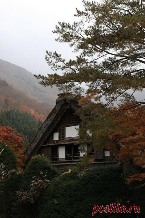 ,,Спасибо , жизнь,
              что отвела чужих...
                            на расстояние покоя...,,
                                                                                                 Эрих Мария Ремарк