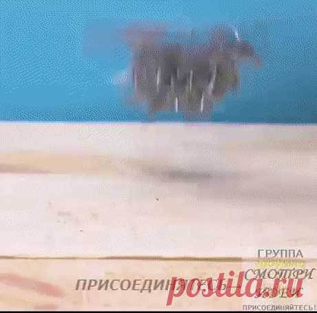 (54) Одноклассники