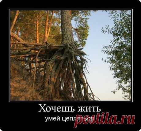 Мой Мир@Mail.Ru