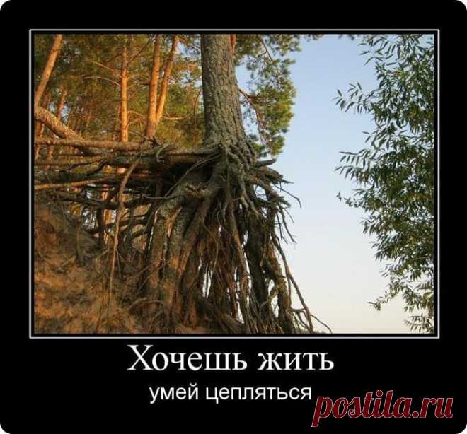 Мой Мир@Mail.Ru