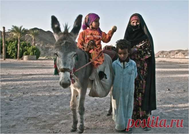 Как кочуют бедуины - Путешествуем вместе