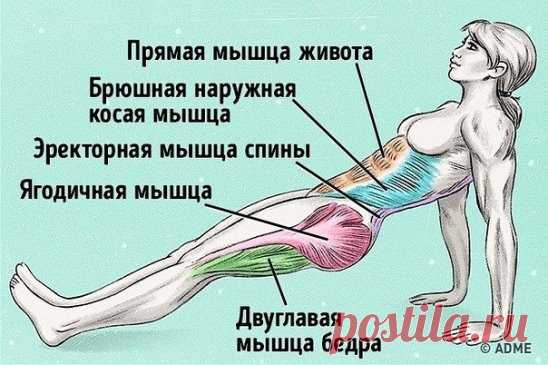 Упражнение, которое поможет сжечь жир и исправить осанку  
1. Сядьте на пол. Выпрямите ноги перед собой. Поставьте ладони на пол, расставьте пальцы для максимальной поддержки. 
2. Наклоните торс под углом 45° к полу. Руки поставьте за ягодицы так, чтобы они находились на одном уровне с плечами. 
3. Поддерживайте вес своего тела руками и пятками, поднимая ягодицы. 
4. Поднимайте торс, ноги и ягодицы, пока они не будут расположены на одной линии, как при классической планке. 
5. Напрягите мышцы
