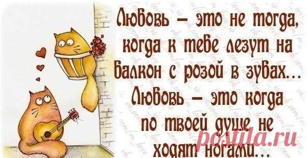 Не так тяжело завоевать мужчину, как всю жизнь кормить его потом в плену :)