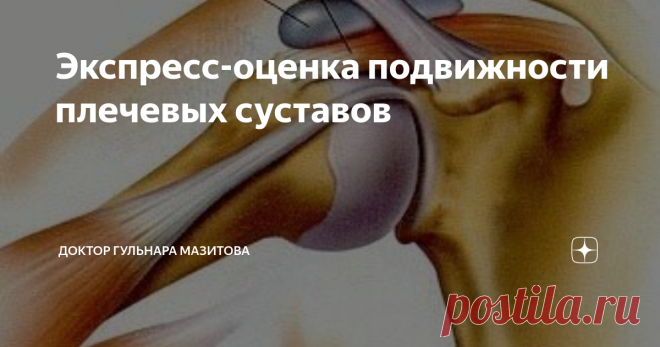 Экспресс-оценка подвижности плечевых суставов Недостаточность подвижности может говорить о:
〰️ наличии мышечных зажимов
〰️ укорочении фасций, связок
〰️ патологии суставов