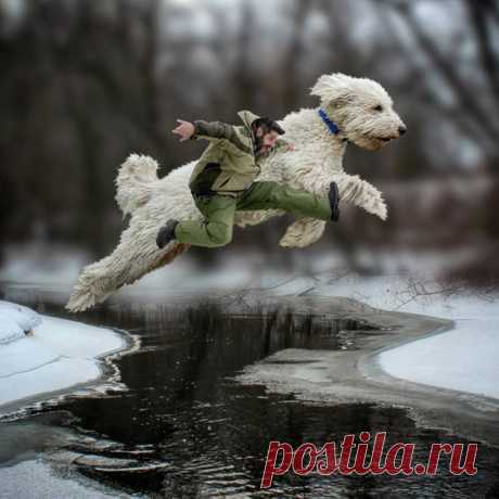 Популярное в Сети: мой гигантский друг-пёс
