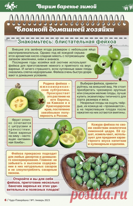 Блокнот хозяйки Знакомьтесь фейхоа
