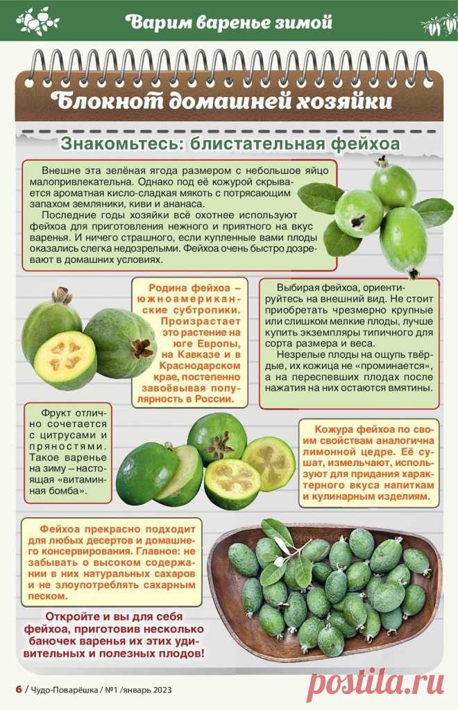 Блокнот хозяйки Знакомьтесь фейхоа