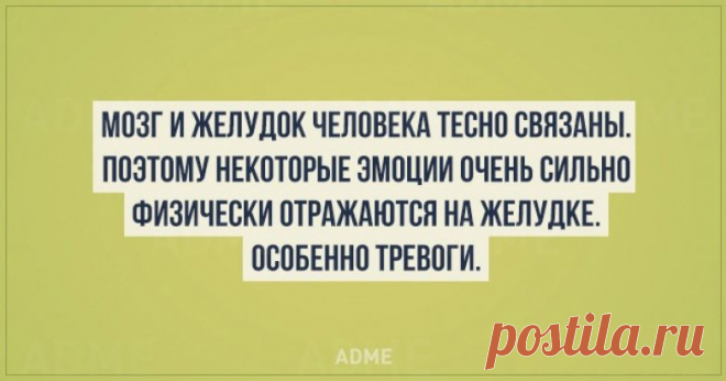 20 ценных фактов из психологии