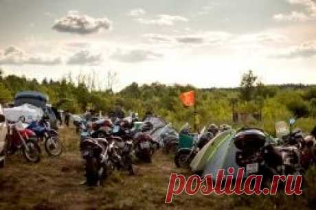 Петровская Мото Слобода 2015 - впечатляющий размах - Petrovsk-Online.Ru