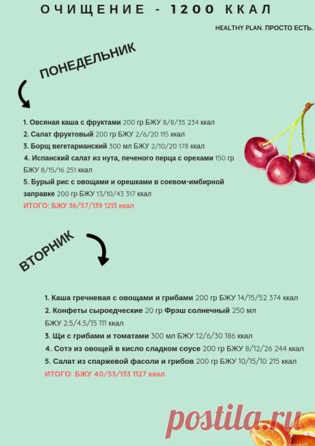 Полное очищение — 1200 ккал — HealthyPlan