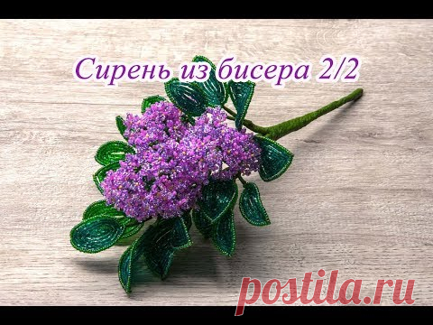 СИРЕНЬ из БИСЕРА - мастер-класс. Урок 2/2 - Цветы сирени и сборка композиции