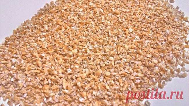 Пшеничная крупа – использование продукта в кулинарии, полезные свойства и вред