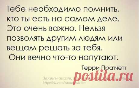Новости