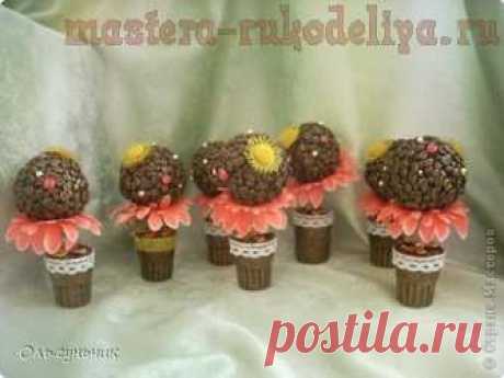 Мастер-класс по декорированию: Кофейные цветы