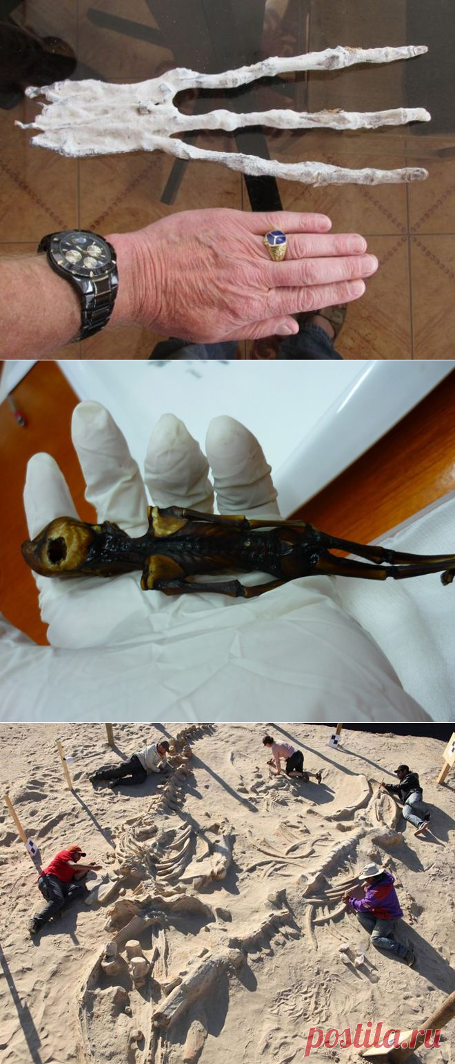 13 уникальных находок в пустыне не на шутку удивили мировых ученых