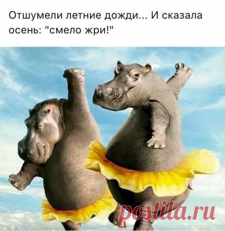 (1) СМЕХОТЕРАПИЯ !!!