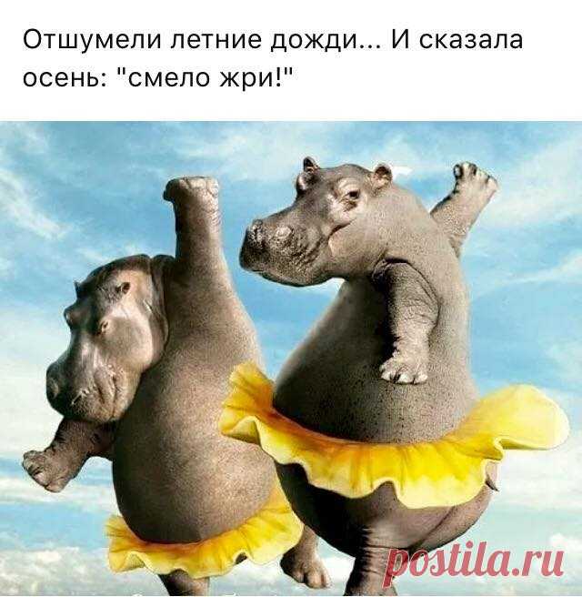 (1) СМЕХОТЕРАПИЯ !!!