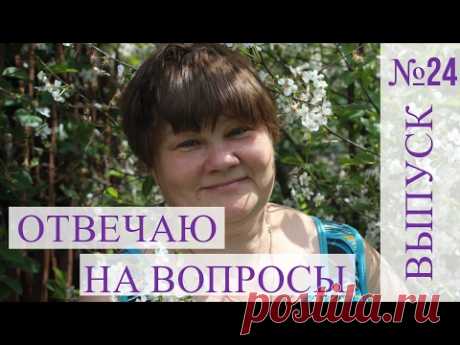 Прямая трансляция №24 (04.02.2017 г.).Отвечаю на Ваши вопросы.