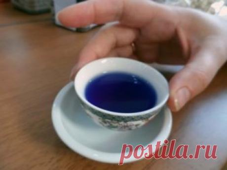 Забытое старое лекарство - синий йод
Это просто чудо, а не средство, которое применяется при заболеваниях, вызванных грибками, болезнетворными микробами и бактериями.
И что интересно, он не дает ни осложнений, ни побочных эффектов. Орг…