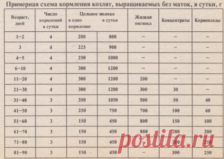Выращивание козлят + схема кормления козлят