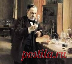 Сегодня 06 июля в 1885 году Вакцина против бешенства впервые испытана на человеке