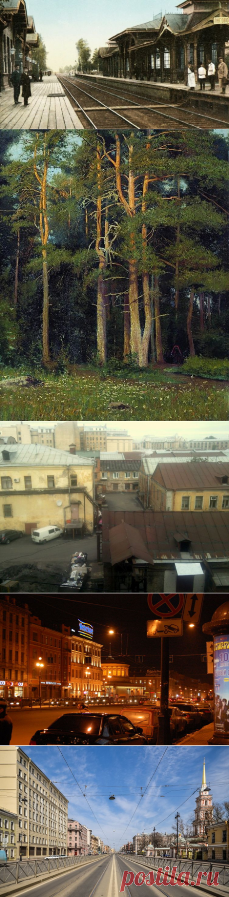 Исторические районы Питера. Откуда появилось название Лигово? | Мир вокруг нас