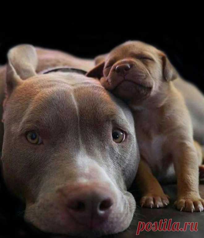 PEOPLE-PLACES-THINGS-ETC