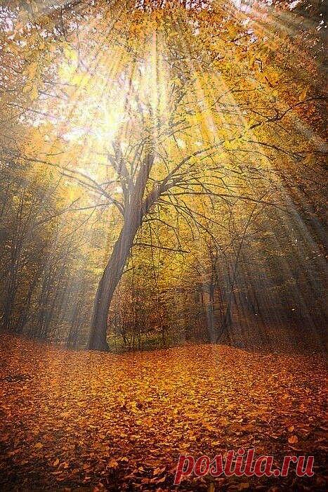 Pin by Sigga Perry on Fall