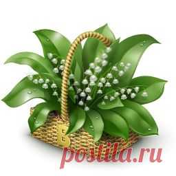 Алина Клер  Ландыши светлого мая привет......