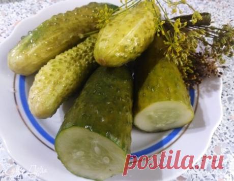 Малосольные огурчики, пошаговый рецепт на 152 ккал, фото, ингредиенты - alla_33