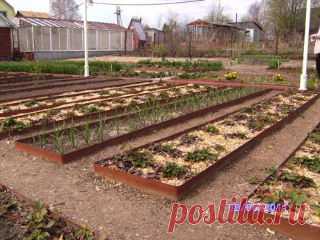 Ограждения для грядок: зачем, из чего и как / Огород / 7dach.ru