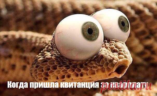 Картинки с подписями и без - ЯПлакалъ