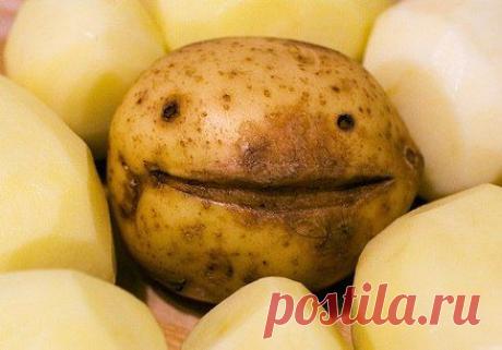 Милый, исполни супружеский долг... почисть картошку! / Здоровый аппетит