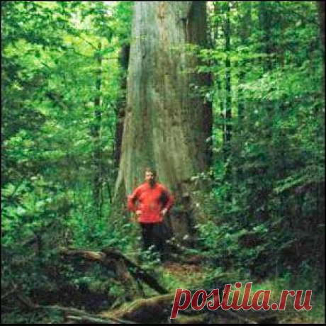 Мне понятна твоя вековая печаль... – Новости РуАН