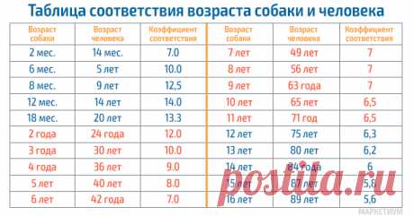 Таблицы соответствия возрастов собак, кошек и людей