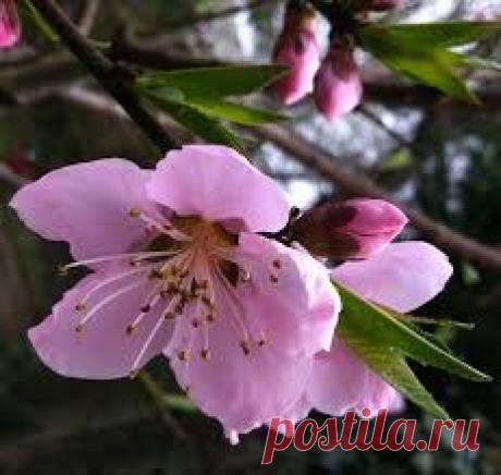 ГОРОСКОП НА МАЙ 2018 ГОДА ДЛЯ ВСЕХ ЗНАКОВ ЗОДИАКА. Начиная с мая наши отношения, особенно личные и семейные, могут претерпеть сильные изменения. ПРОЧИТАТЬ ПОЛНОСТЬЮ -